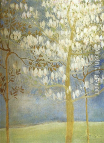 Magnolia Oil Painting - Constant Montald