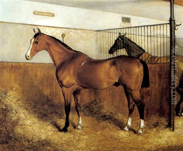 'imperator', A Light Bay Hunter, In A Stable With Another Horse Oil Painting - Adrian Jones
