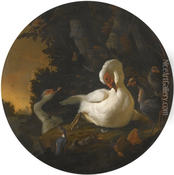 A Mute Swan, A Goose, And Other Fowl On A Wooded River Bank Oil Painting - Abraham Bisschop