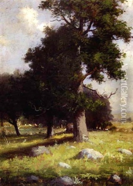 Old Tree, Summer Oil Painting - Joseph De Camp