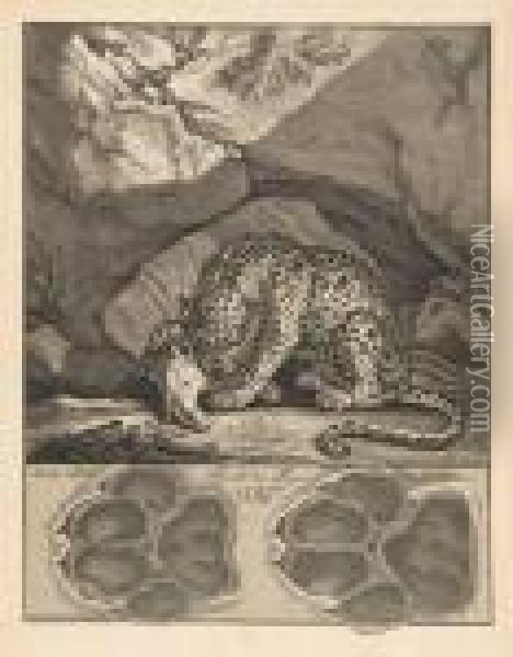 A Leopard Gnawing A Skull Oil Painting - Johann Elias Ridinger or Riedinger