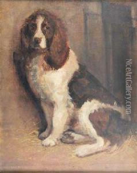 Study Of A Liver And White Spaniel Oil Painting - Samuel Fulton