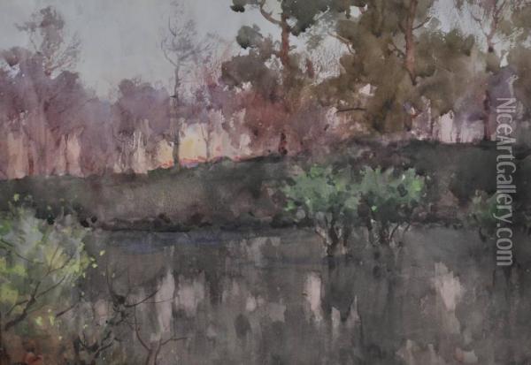 A Woodland Pool Oil Painting - Reginald T. Jones