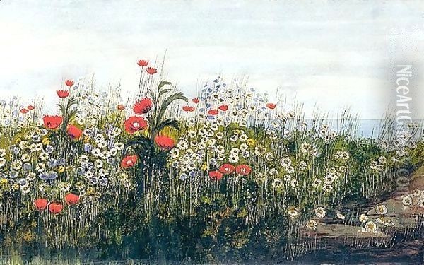 A Poppy Field By The Sea Oil Painting - Andrew Nicholl