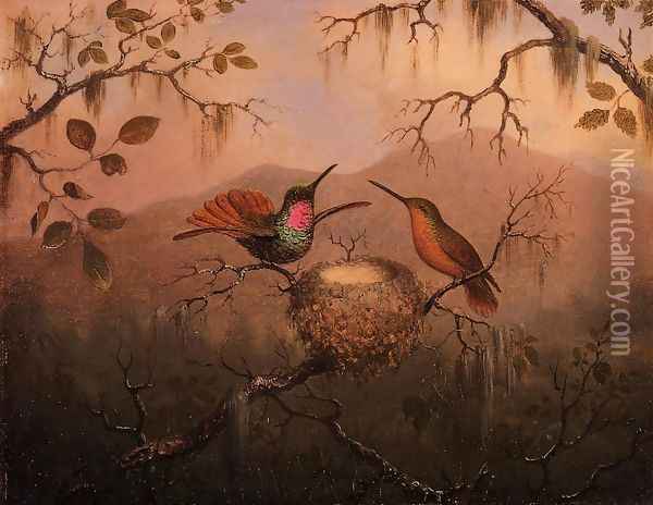 Two Hummingbirds At A Nest Oil Painting - Martin Johnson Heade