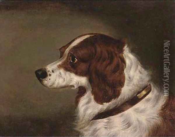 The head of a spaniel Oil Painting - Edwin Loder