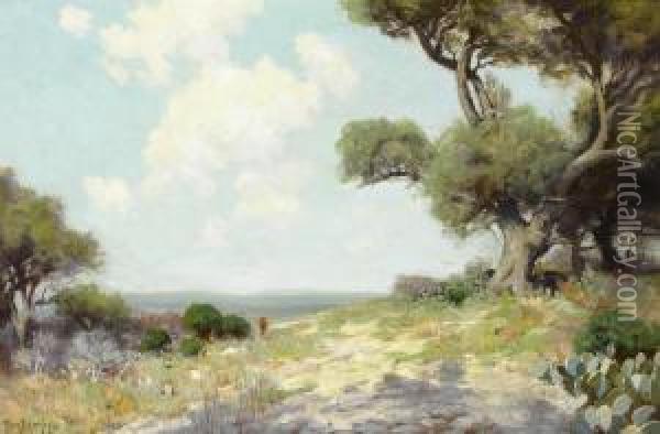 In The Hills -- Southwest Texas Oil Painting - Julian Onderdonk