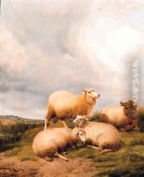 Sheep Resting In A Meadow 2 Oil Painting - Thomas Sidney Cooper