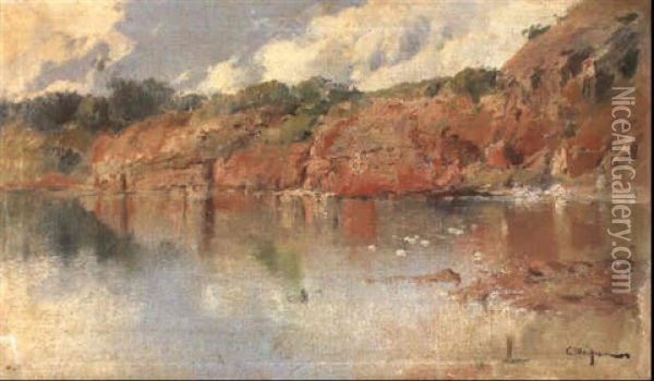 A Lake In An Extensive Landscape Oil Painting - Eliseo Meifren y Roig