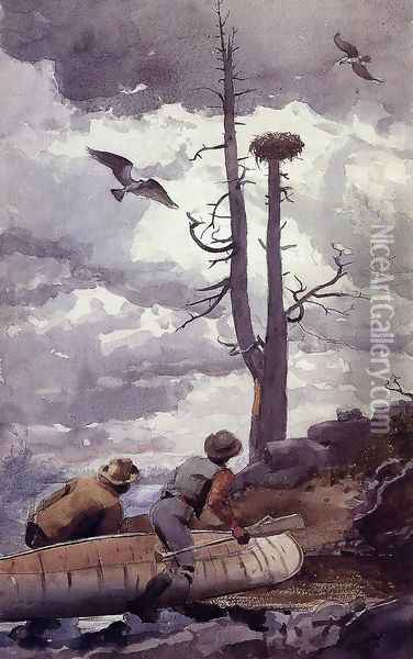 Osprey's Nest Oil Painting - Winslow Homer