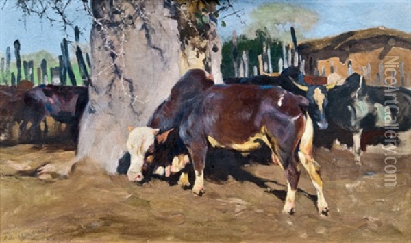 Zebuherde In Afrikanischer Landschaft Oil Painting - Wilhelm Friedrich Kuhnert