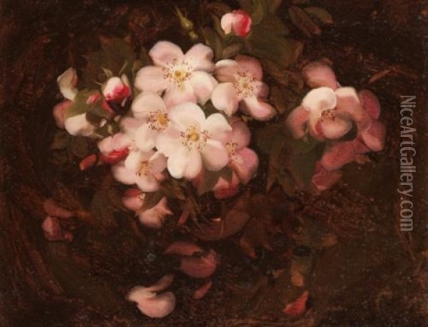Still Life With Pink Wild Roses Oil Painting - Stuart James Park