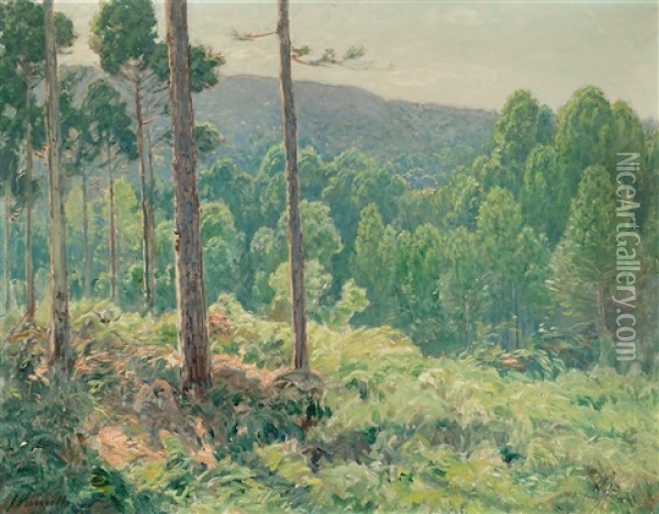 Bosque Oil Painting - Joaquim Vancells y Vieta