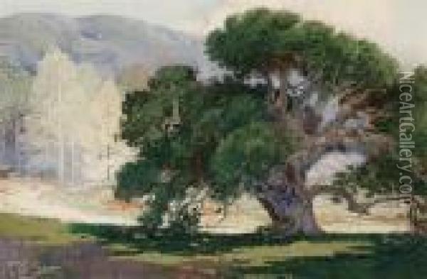 Oak Tree Oil Painting - Fred Grayson Sayre