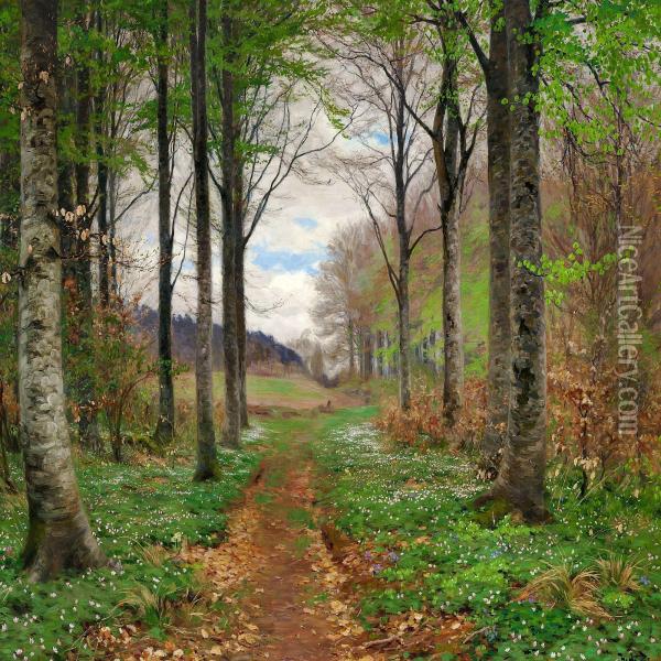 Spring Day In The Woods With Beeches And Anemones Oil Painting - H. A. Brendekilde