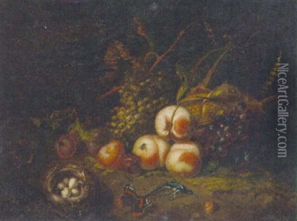 A Forest Floor Still Life With Peaches, Plums, Grapes And Sweetcorn On A Bank With A Lizard, Bird's Nest, Fly, Snail, And A Red Admiral Butterfly Oil Painting - Tommaso Salini
