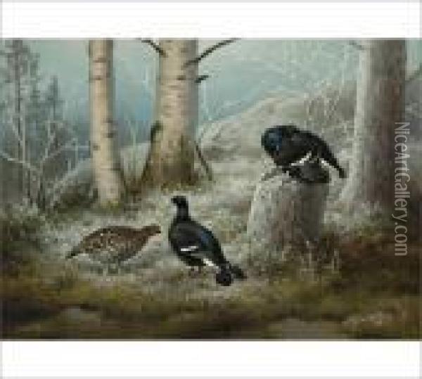 Black Grouses Oil Painting - Ferdinand Wilhelm Von Wright