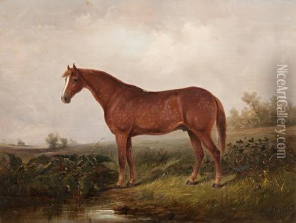 'exmoor' - A Dappled Cob, The Property Of E.a. O'gorman, Standing In A Landscape Oil Painting - Thomas Smythe