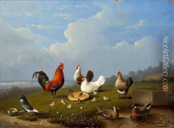 Chickens, Ducks And Pigeons In A Landscape Oil Painting - Joseph Van Severdonck