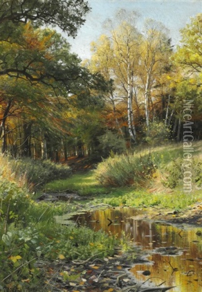 A Stream In The Forest, Early Autumn Oil Painting - Peder Mork Monsted
