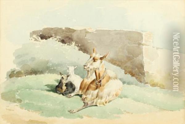 Studies Of Goats Oil Painting - Noel-Dieudonne Finart
