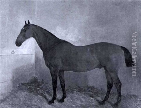 Braunes Jagdpferd In Seiner Box Oil Painting - John Duval