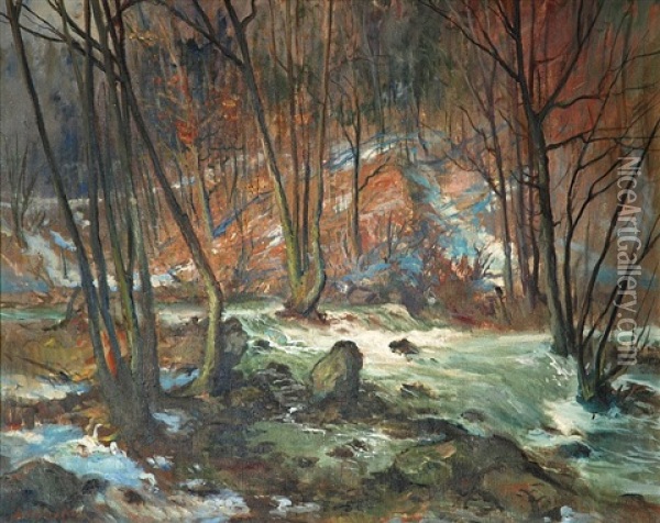Zamecky Park V Namesti Oil Painting - Arkadi Solovjev