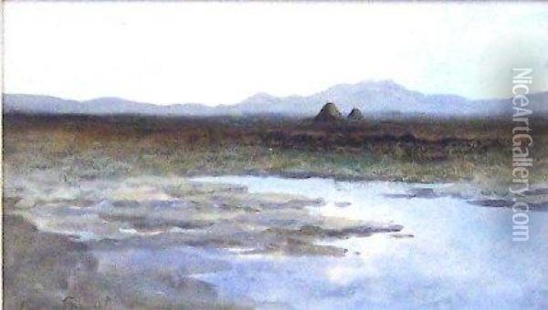 A Donegal Bog Oil Painting - William Percy French