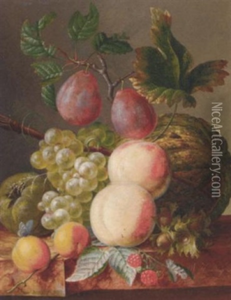 Peaches, Grapes, Plums, Raspberries And A Gourd On A Marble Ledge Oil Painting - Willem Hekking Jr.