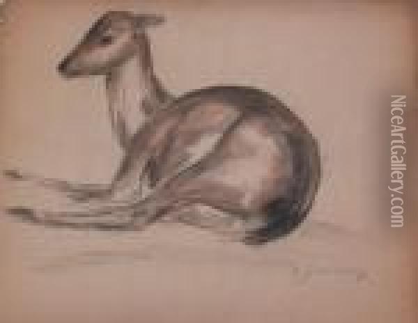 Jeune Gazelle Oil Painting - Sam Granowsky