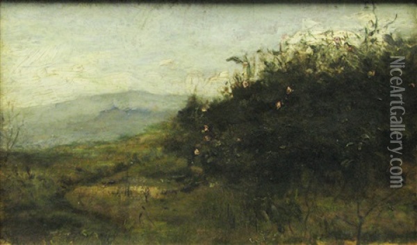 Landscape (to Piatra) Oil Painting - Dimitrie Mihailescu