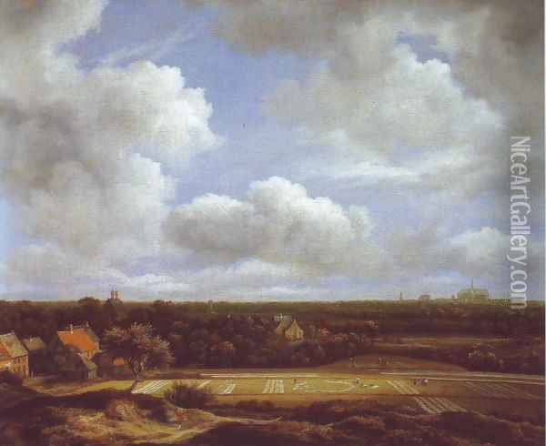 View of the plain of haarlem with bleaching grounds Oil Painting - Jacob Van Ruisdael