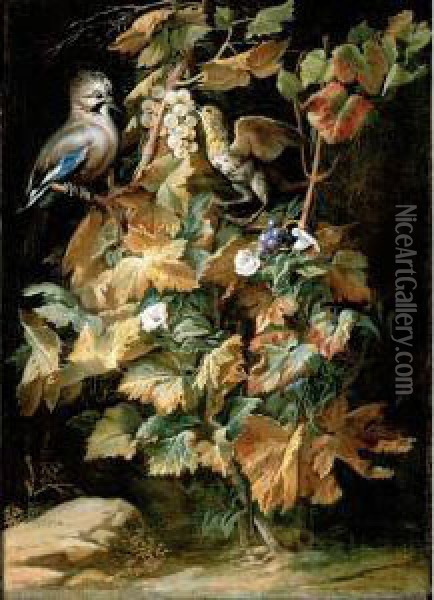 Still Life With A Jay And A Starling Eating Berries Oil Painting - Niccolino Van Houbraken