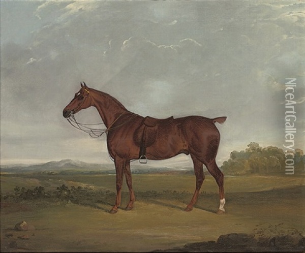 A Bay Hunter In A Landscape Oil Painting - David (of York) Dalby
