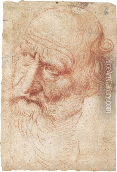 Head Of A Bearded Man Turned To The Left Oil Painting - Pietro Francesco Gianoli