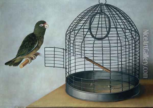 Parrot outside his cage Oil Painting - Cornelis Biltius