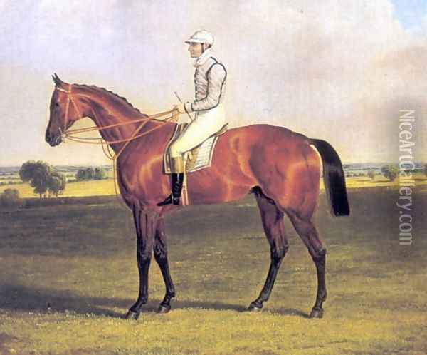 Little Wonder with Jockey Up 1840 Oil Painting - John Frederick Herring Snr