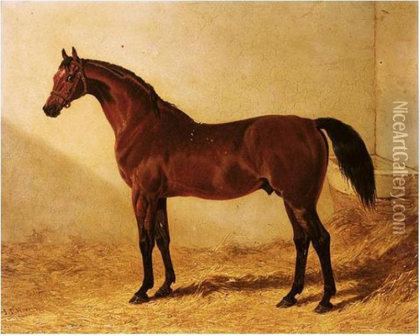 Glaucus, A Bay Racehorse In A Stable Oil Painting - John Frederick Herring Snr