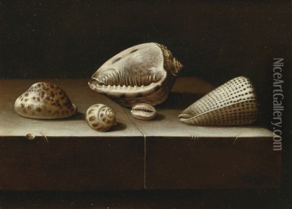 Still Life Of Five Shells On A Stone Ledge Oil Painting - Adriaen Coorte
