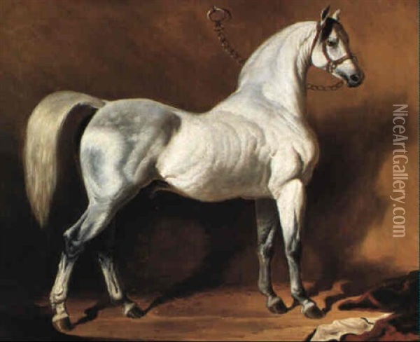 The Stabled White Stallion Oil Painting - Alfred De Dreux