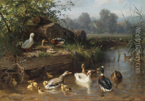 Ducks On The Pond Oil Painting - Carl Jutz
