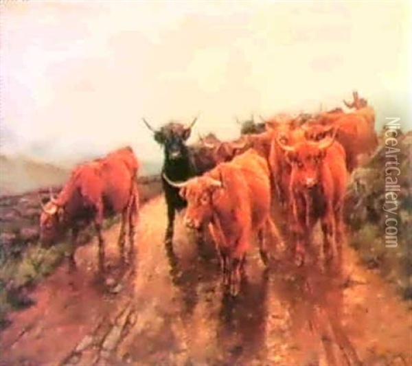 Driving Highland Cattle Oil Painting - Wright Barker