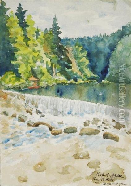 River With Falls Oil Painting - Robert Abbe