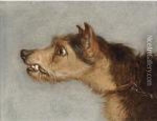 The Head Of Terrier; And The Head Of Lurcher Oil Painting - Martin Theodore Ward
