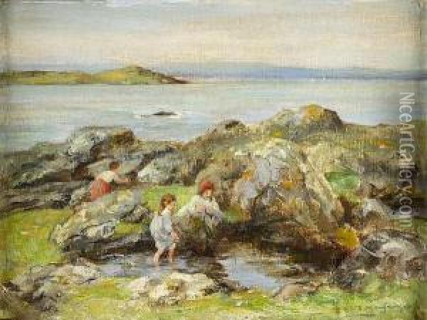 The Carrick Shore And Ardwall Island,galloway Oil Painting - William Stewart MacGeorge