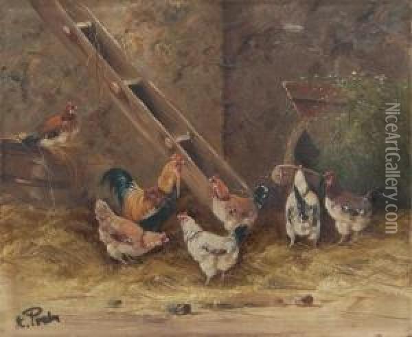 Kokosinjac Oil Painting - Ambrogio Preda
