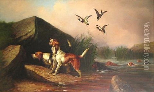 Otter Hounds And Ducks Oil Painting - Colin Graeme
