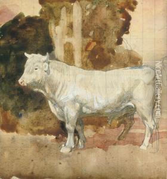 White Bull Oil Painting - Edward Arthur Walton