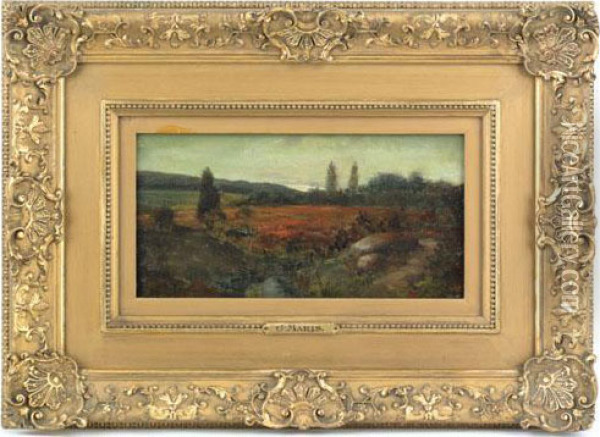 Landscape Oil Painting - Jacob Henricus Maris