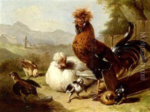 The Rooster's Family Oil Painting - Adriana Johanna Haanen
